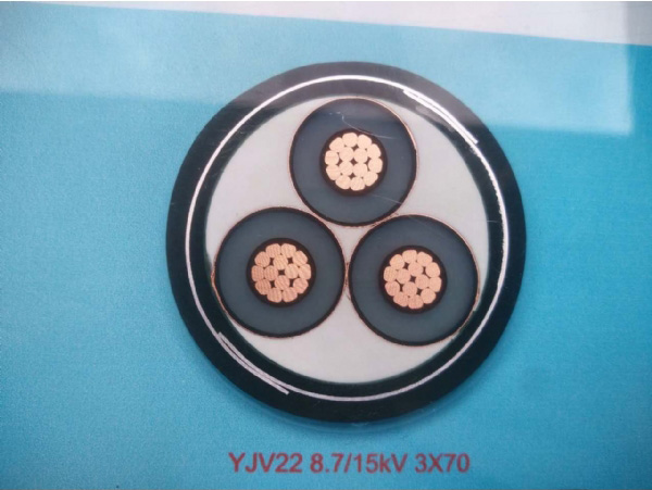 1545294026129224.jpg 3.jpg